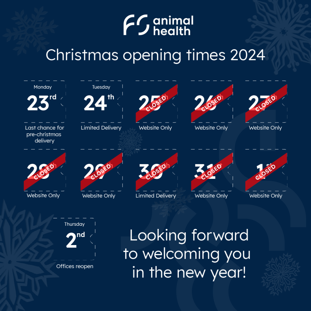 Christmas 24