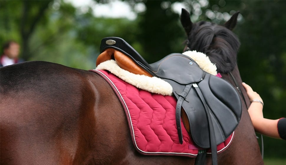 Saddles