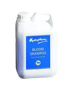 Bloom Shampoo 5ltr