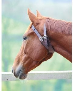 Shires Leather Crib Biting Collar