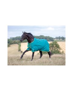 Tempest Standard Turnout 50g