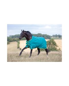 Tempest Standard Turnout Rug 50g