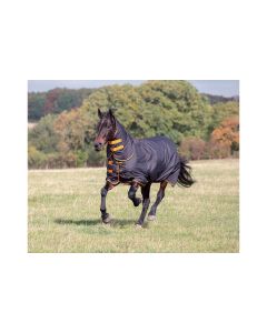 Tempest Combo Turnout Rug 200g