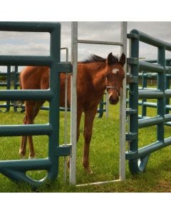 Duracorral Creep Pen