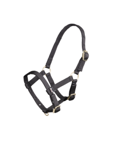 Foal Nylon Headcollar, Black