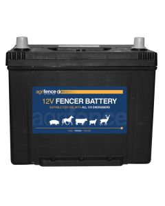 Rechargeable 12V Wet Battery