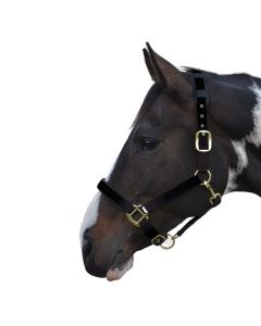 Lambourn Padded Headcollar