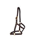 Leather Headcollar