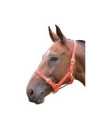 Chester Nylon Headcollar