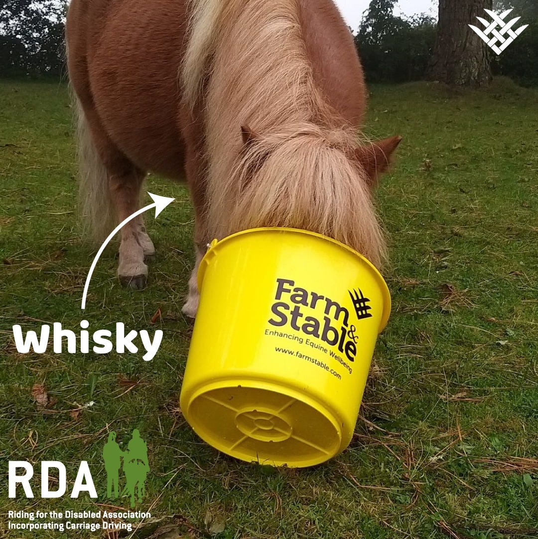 Farm & Stable Volunteer at the Broadlands Riding for the Disabled Association (RDA) 