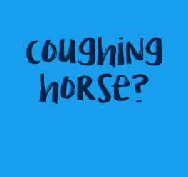 Your Solution to Preventing Horse Coughs: Nuveq Steamed Hay