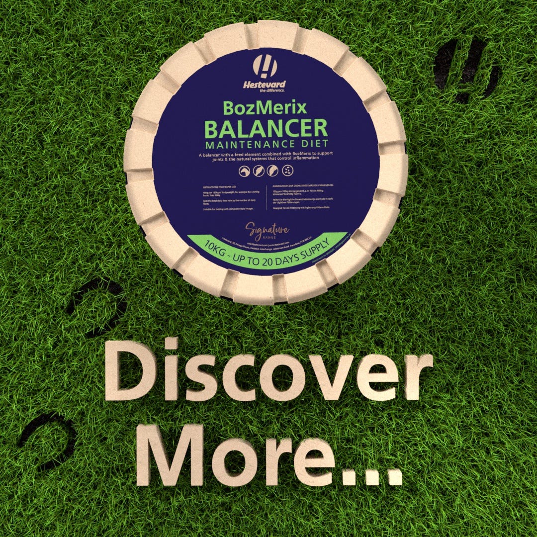 Ingredient Focus: Black Oats - Why they are in our equine Balancers and Biofix-40