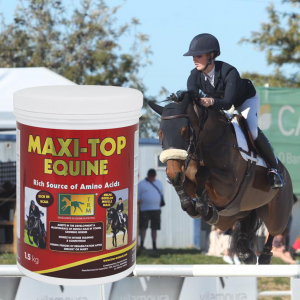 Lily Attwood TRM Maxi Top Equine – Product Review