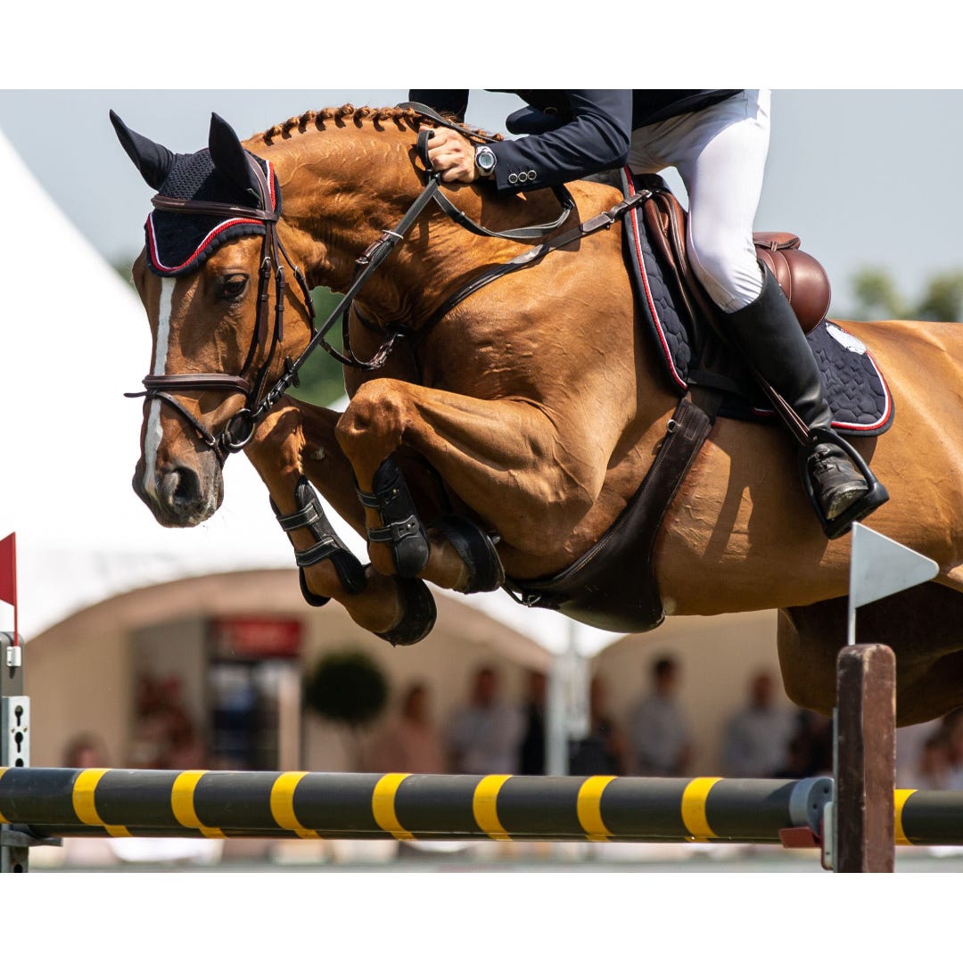 Powerful joint supplement for horses: TRM Kurasyn 360X (ingredients explained)