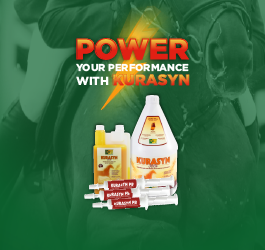 TRM Kurasyn PB: Reducing inflammation in horses with Curcumin & Boswellia Serrata 