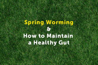 Quick guide to Spring worming 