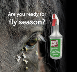 Best, most effective fly spray 