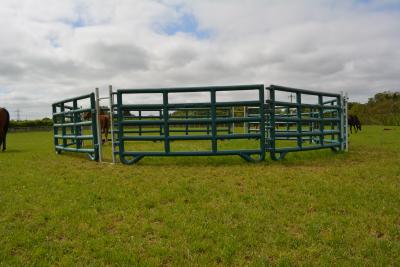 Mobile turnout pen that is safe, strong and versatile | Discover the Duracorral turnout pen