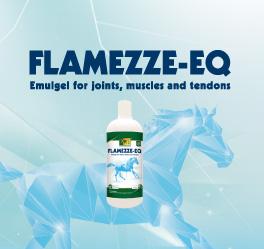 Soothe joints, muscles and tendons with TRM FLAMEZZE-EQ