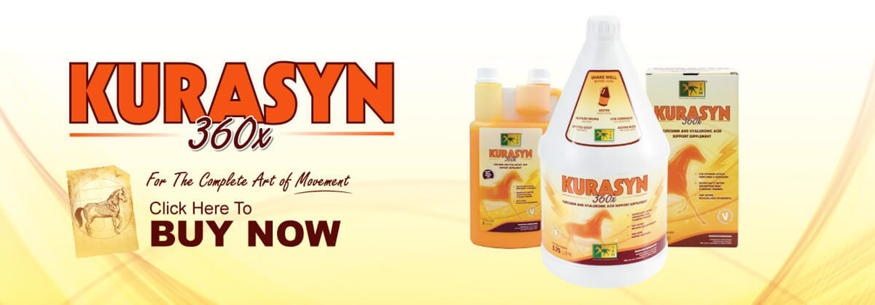 Kurasyn 360x banner promoting Turmeric and Hyaluronic Acid